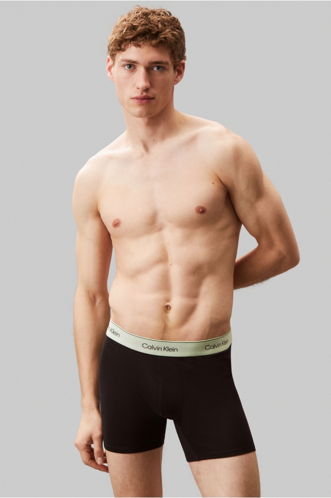 BOXER BRIEF 3PK LV00NB4394 BWHITE, BEAU BLUE, LEAFY FUN WBS